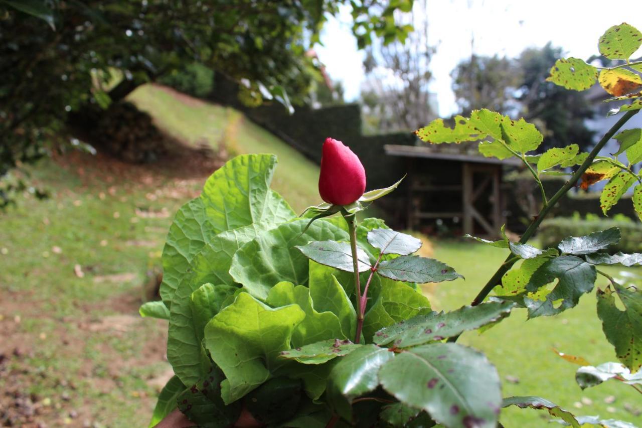 Casa Aconchegante No Capivari Campos do Jordão 외부 사진