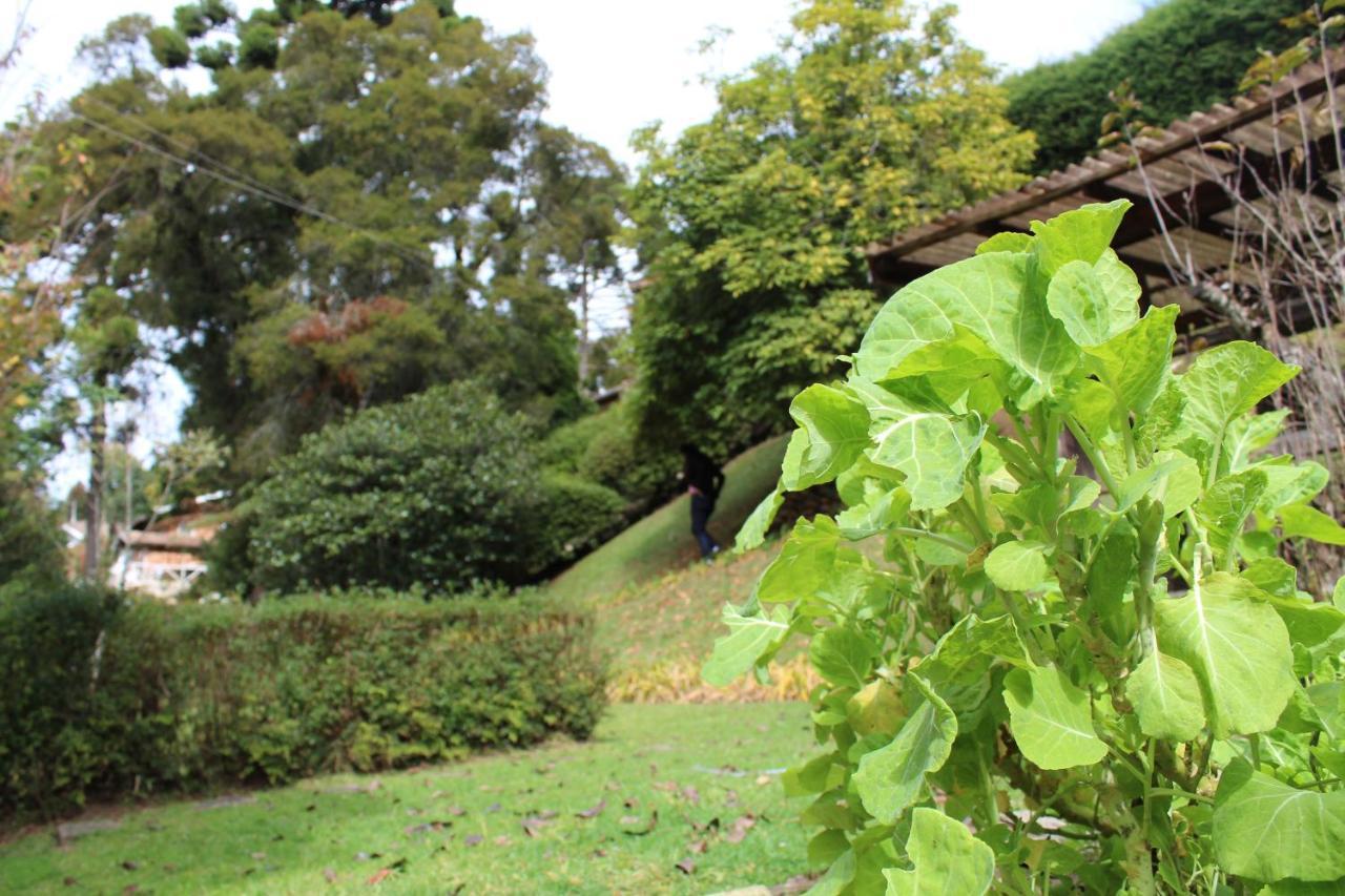 Casa Aconchegante No Capivari Campos do Jordão 외부 사진