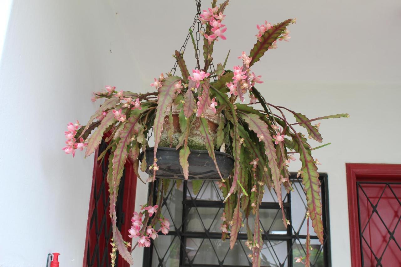Casa Aconchegante No Capivari Campos do Jordão 외부 사진